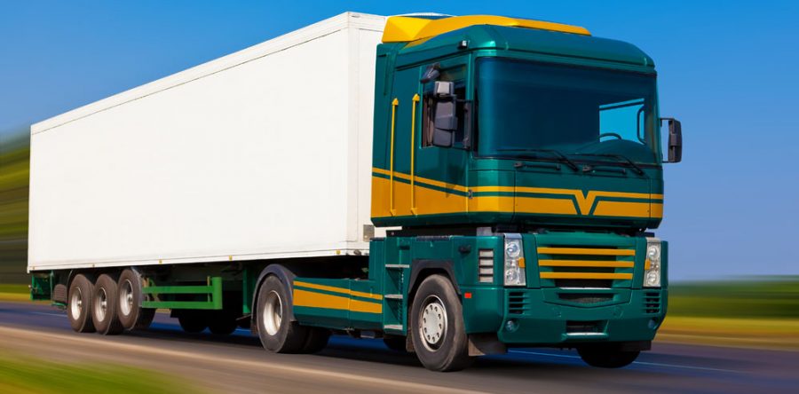 Vivamus vel sem at